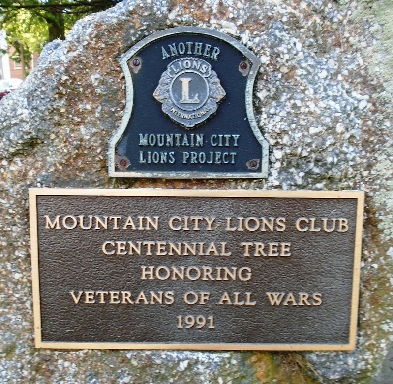 War Memorial Marker. Click for full size. War Memorial Marker image. Click for full size.
