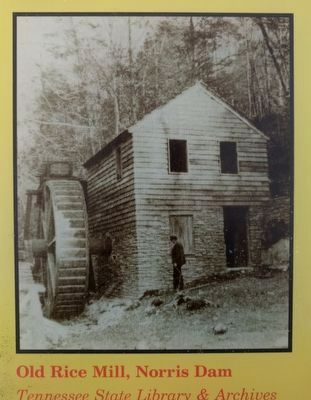 Lower right image image. Click for full size.