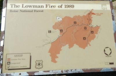 The Lowman Fire of 1989 panel image. Click for full size.