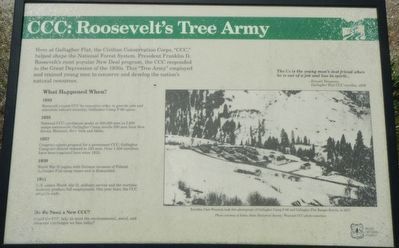 CCC: Roosevelt's Tree Army panel image. Click for full size.