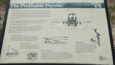 The Profitable Payette panel image. Click for full size.