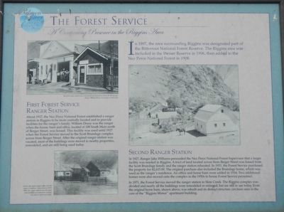 The Forest Service Marker image. Click for full size.