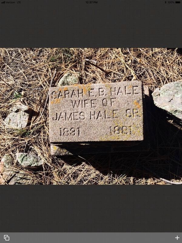 Sarah Elizabeth Barkdull Hale Headstone Marker image. Click for full size.