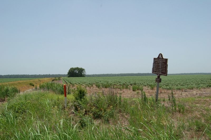 Mound Plantation Marker. Click for full size. Mound Plantation Marker image. Click for full size.