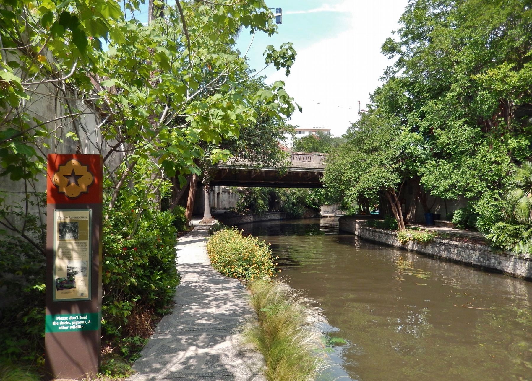 The San Antonio River Marker (<i>wide view; looking north along river to Richmond Avenue Bridge</i>). Click for full size. The San Antonio River Marker (<i>wide view; looking north along river to Richmond Avenue Bridge</i>) image. Click for full size.
