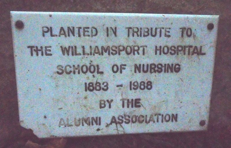 Williamsport Hospital School of Nursing Marker image. Click for full size.
