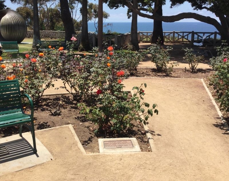 Olympiad Rose Bush and Marker image. Click for full size.