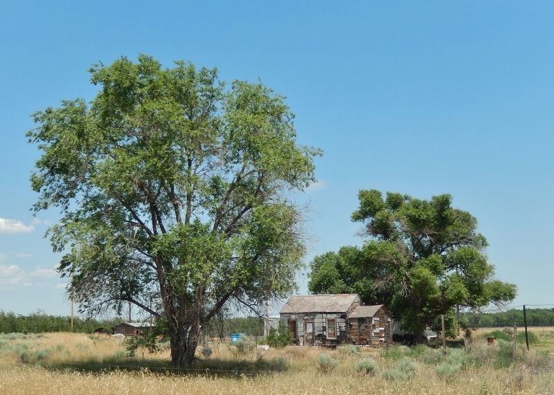 View of Cornish Grade School site (<i>looking east from marker</i>) image. Click for full size.
