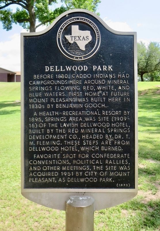 Dellwood Park Marker image. Click for full size.