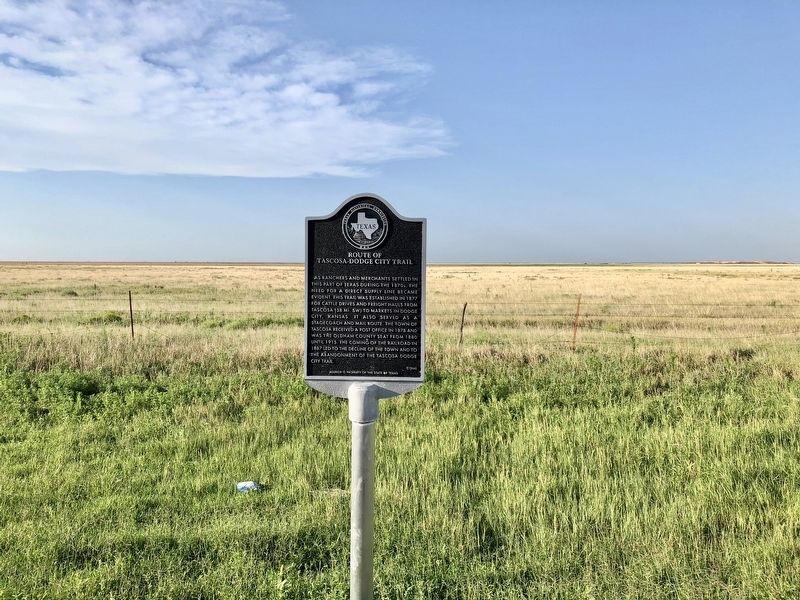 Route of Tascosa-Dodge City Trail Marker looking north. image. Click for full size.