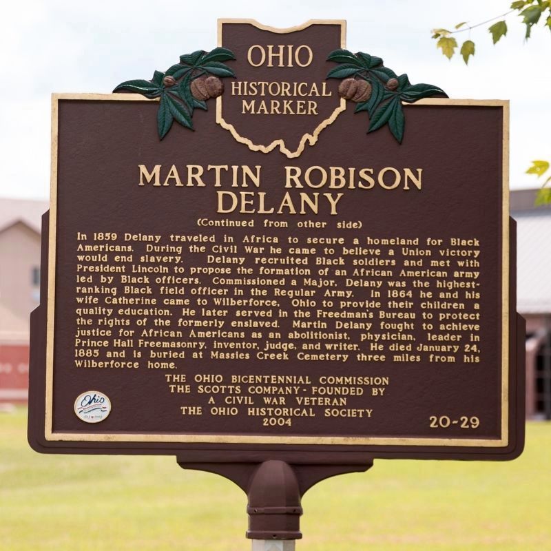 Martin Robison Delany Marker, Side Two image. Click for full size.