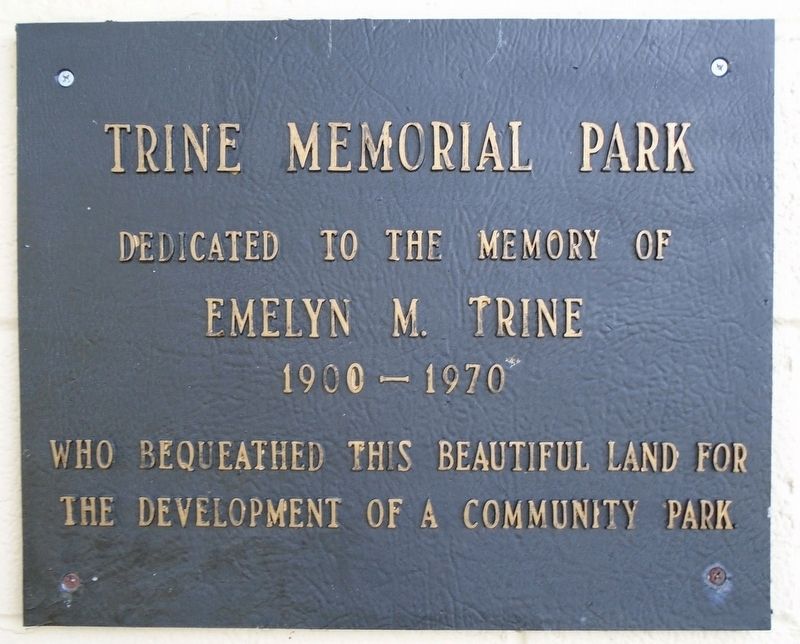 Trine Memorial Park Marker. Click for full size. Trine Memorial Park Marker image. Click for full size.