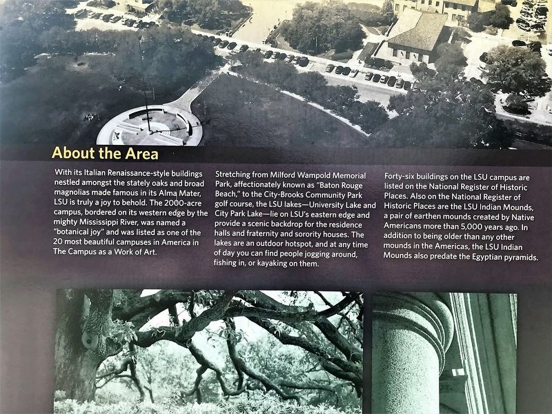 Louisiana State University & Surrounding Area Marker image. Click for full size.