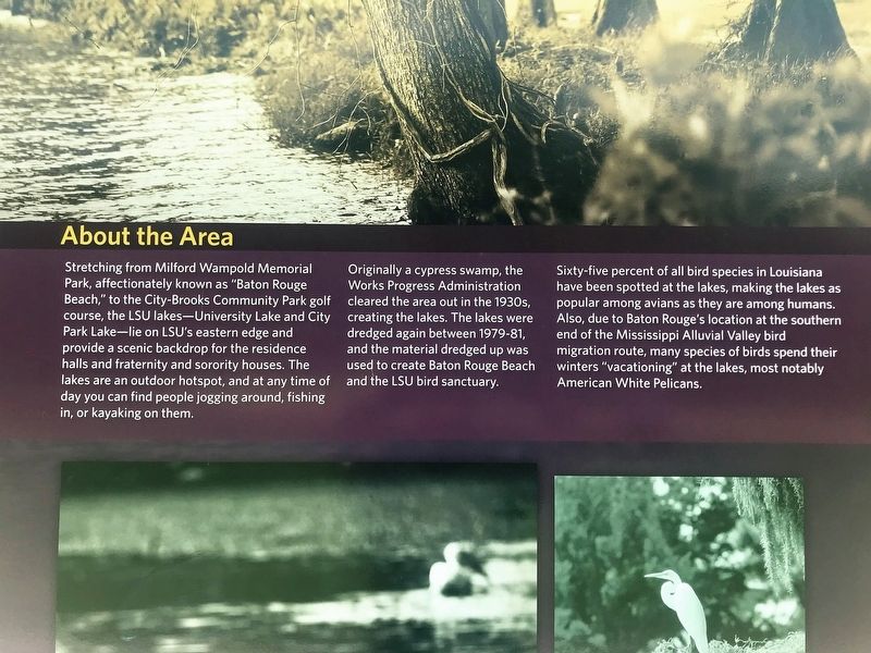 University Lakes & Bird Sanctuary Marker. Click for full size. University Lakes & Bird Sanctuary Marker image. Click for full size.