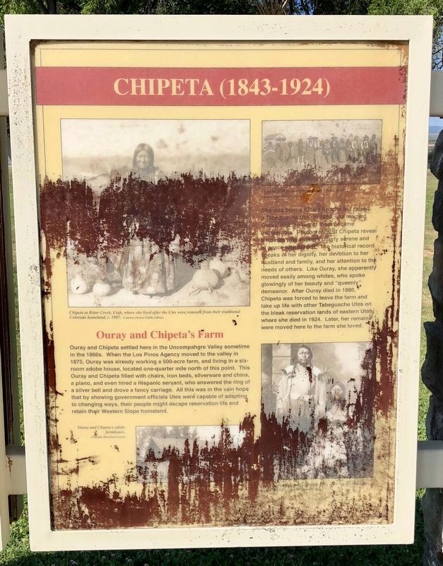 Chipeta (1843-1924) Marker image. Click for full size.