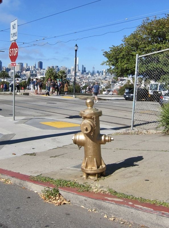 The Golden Hydrant Marker - looking northeast image. Click for full size.