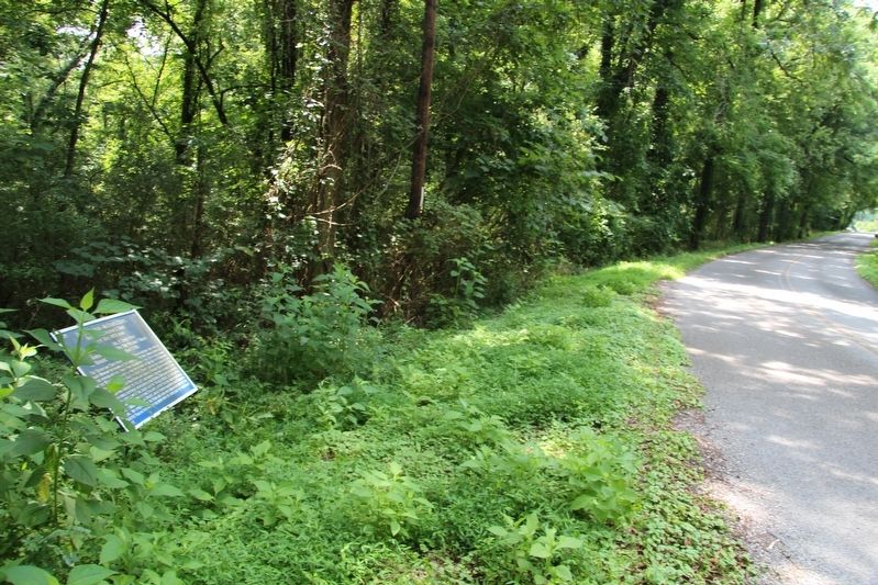 Davis' Division Marker. Click for full size. Davis' Division Marker image. Click for full size.