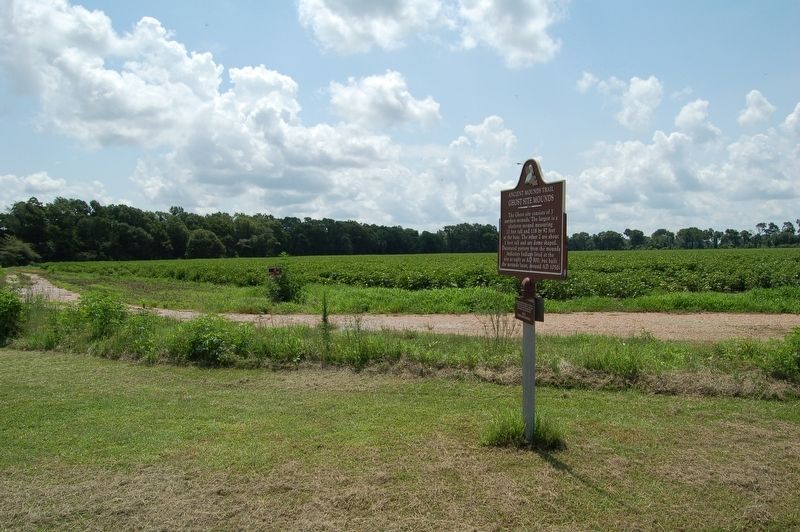 Ghost Mound Marker image. Click for full size.