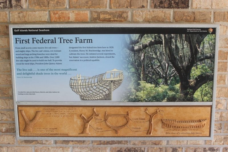 First Federal Tree Farm Marker image. Click for full size.