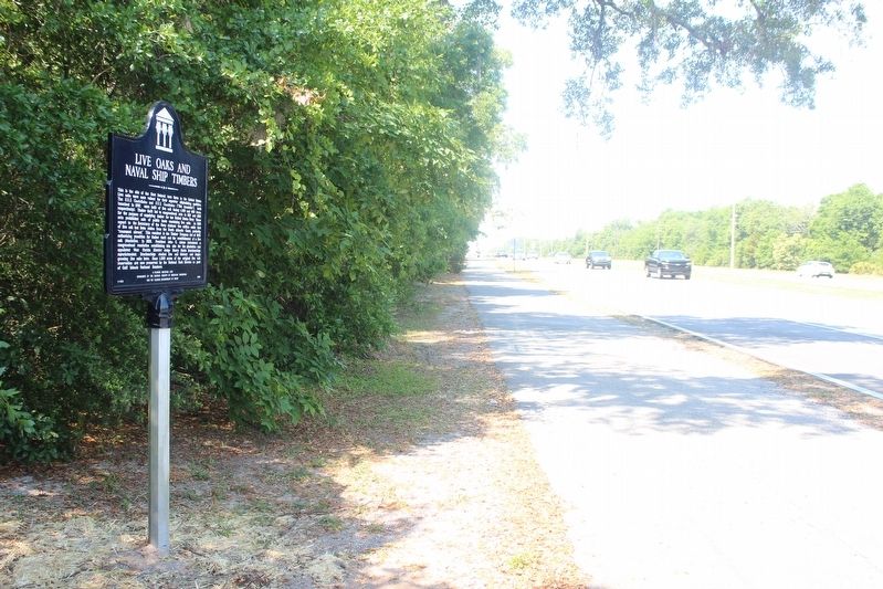 Live Oaks and Naval Ship Timbers Marker image. Click for full size.