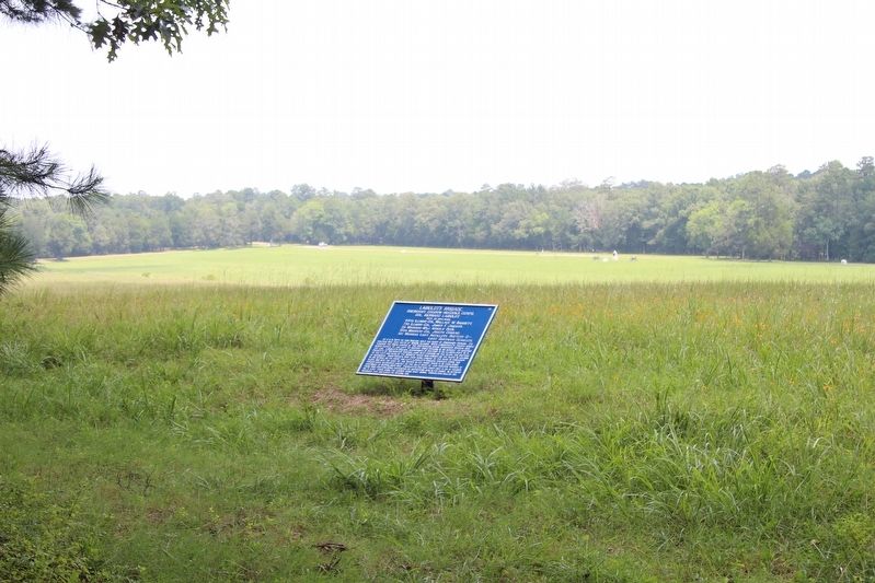 Laiboldt's Brigade Marker. Click for full size. Laiboldt's Brigade Marker image. Click for full size.