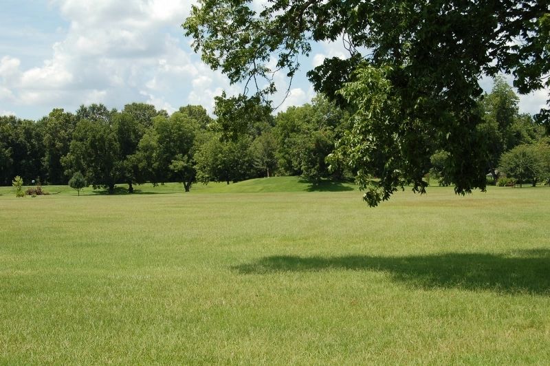 Wade Landing Mound image. Click for full size.