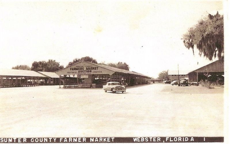 Sumter County Farmers Market image. Click for full size.