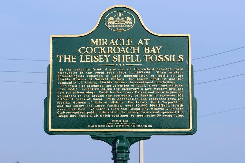 Miracle at Cockroach Bay The Leisey Shell Fossils Marker image. Click for full size.