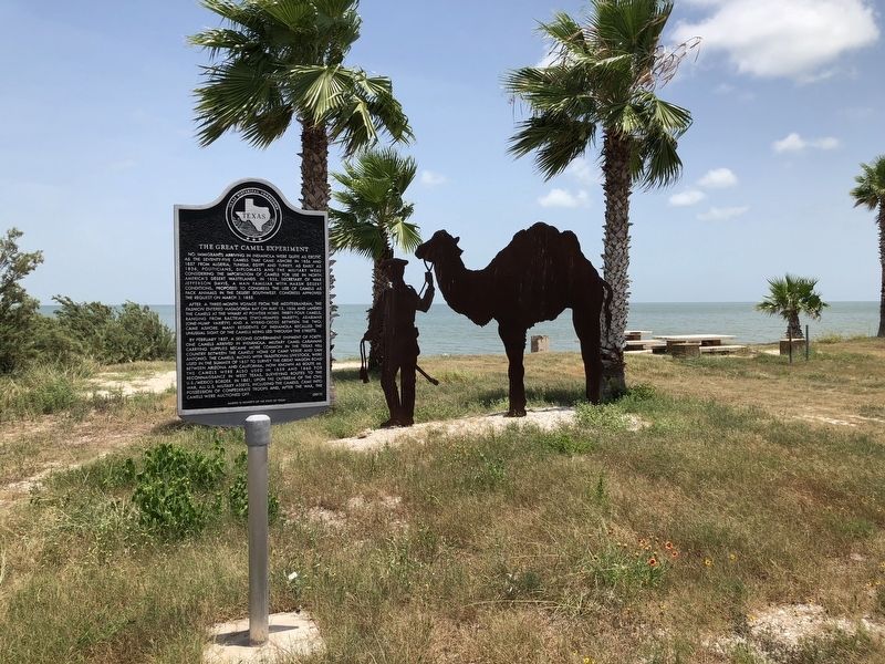 The Great Camel Experiment Marker image. Click for full size.