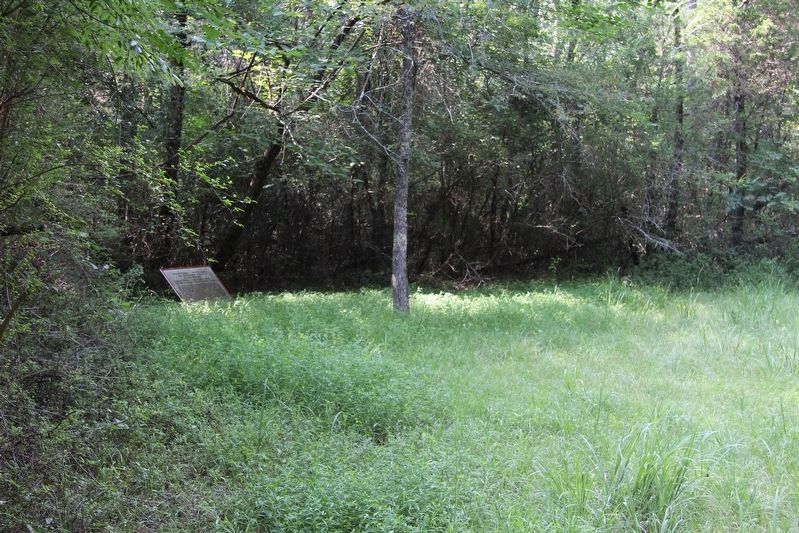 Liddell's Division Marker. Click for full size. Liddell's Division Marker image. Click for full size.