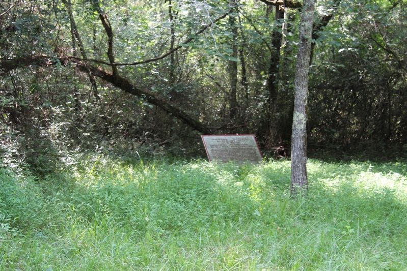 Liddell's Division Marker. Click for full size. Liddell's Division Marker image. Click for full size.
