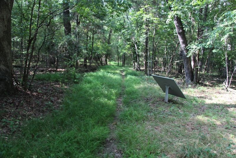 Walker's Reserve Corps Marker image. Click for full size.