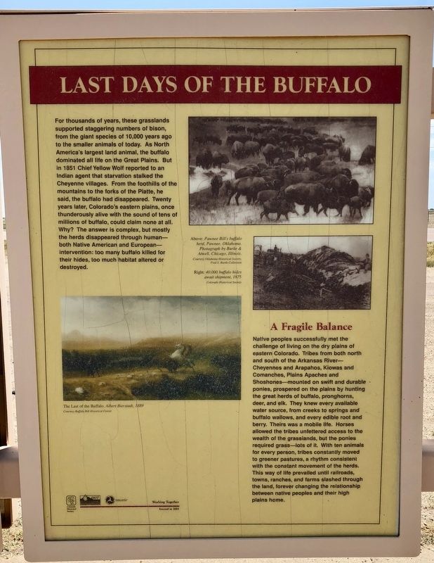 Last Days of the Buffalo Marker image. Click for full size.