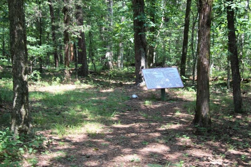 Polk's Brigade Marker image. Click for full size.
