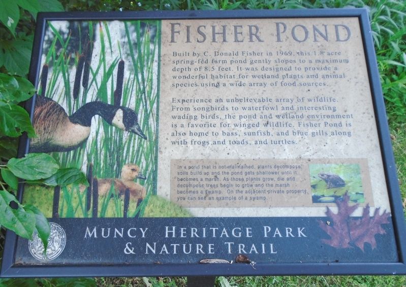 Fisher Pond Marker image. Click for full size.