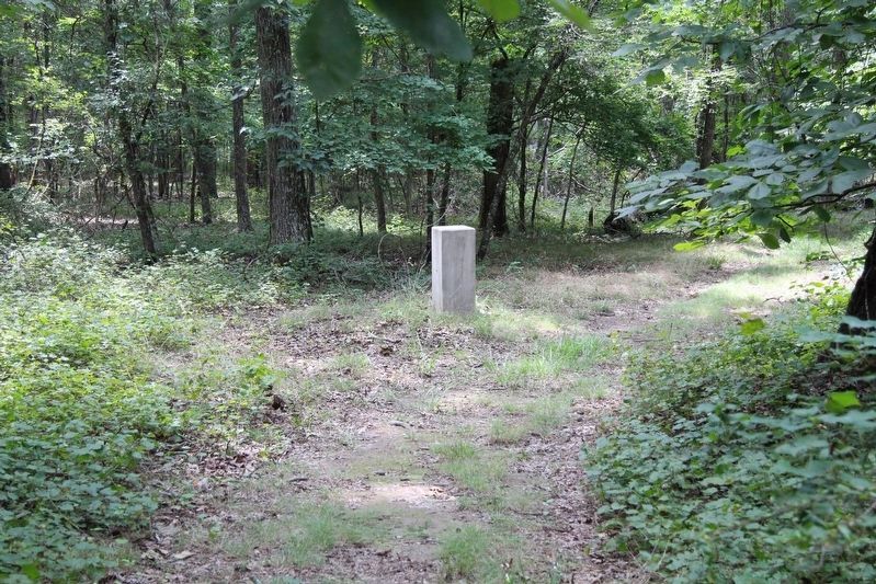 6th and 9th Tennessee Infantry Marker image. Click for full size.