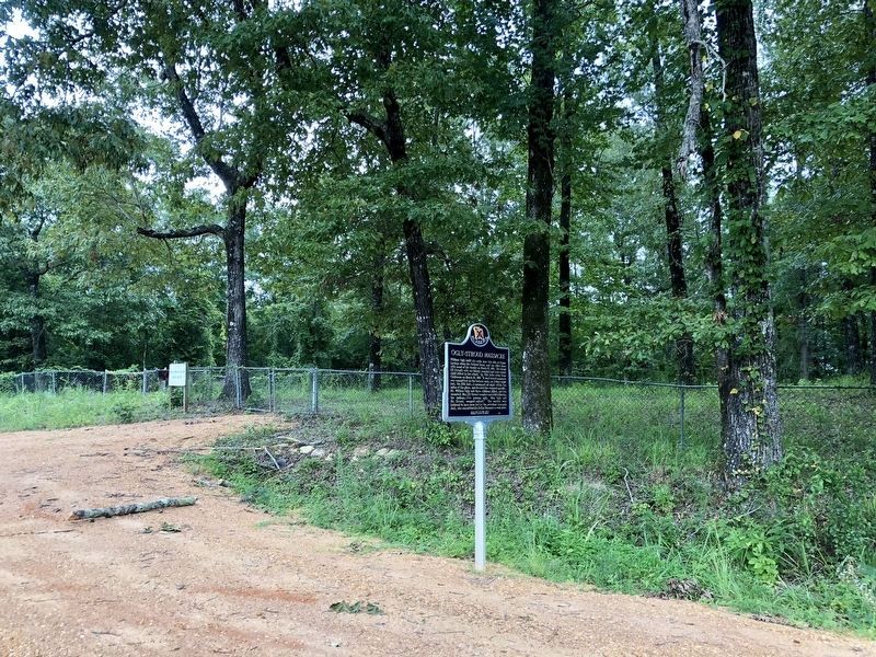 View of the Ogly-Stroud Massacre towards the Old Shiloh Cemetery.. Click for full size. View of the Ogly-Stroud Massacre towards the Old Shiloh Cemetery. image. Click for full size.