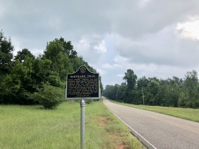 Bartram's Trail Marker looking east towards Braggs Road.. Click for full size. Bartram's Trail Marker looking east towards Braggs Road. image. Click for full size.