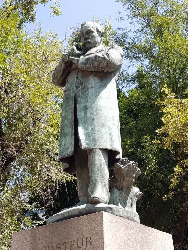 Louis Pasteur statue image. Click for full size.