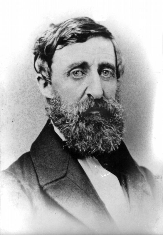 Henry David Thoreau image. Click for full size.