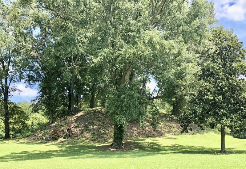 The Pocahontas Mound. image. Click for full size.