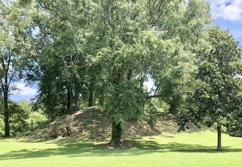 One of the Pocahontas Mounds. image. Click for full size.