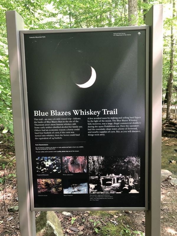 Blue Blazes Whiskey Trail Marker image. Click for full size.