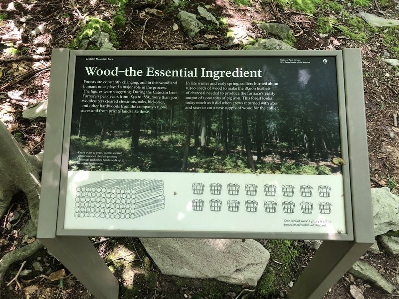 Wood—the Essential Ingredient Marker. Click for full size. Wood—the Essential Ingredient Marker image. Click for full size.