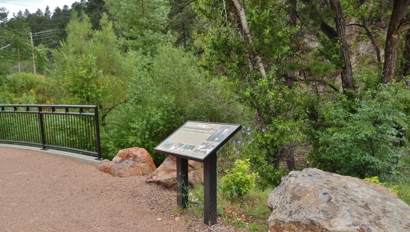 George S. Mickelson Trail Marker (<i>wide view; overlooking Whitewood Creek</i>) image. Click for full size.