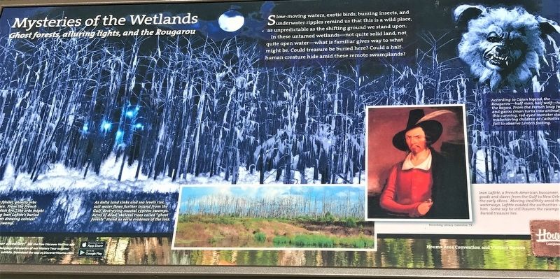 Mysteries of the Wetlands Marker image. Click for full size.
