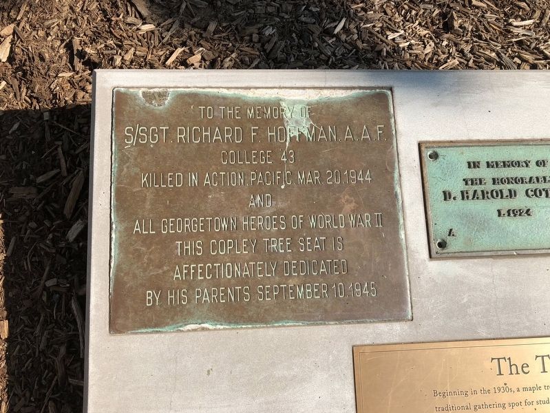 S/Sgt. Richard F. Hoffman, A.A.F. Marker. Click for full size. S/Sgt. Richard F. Hoffman, A.A.F. Marker image. Click for full size.