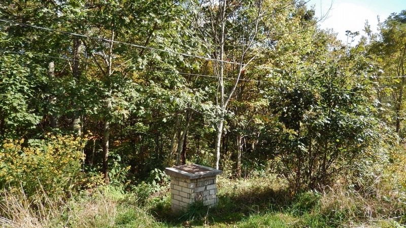 Highest Point in Kentucky Marker (<i>wide view; showing surrounding mountain-top foliage</i>) image. Click for full size.