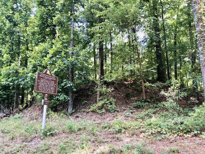 Scott Place Mounds Marker with Mound A behind it. image. Click for full size.