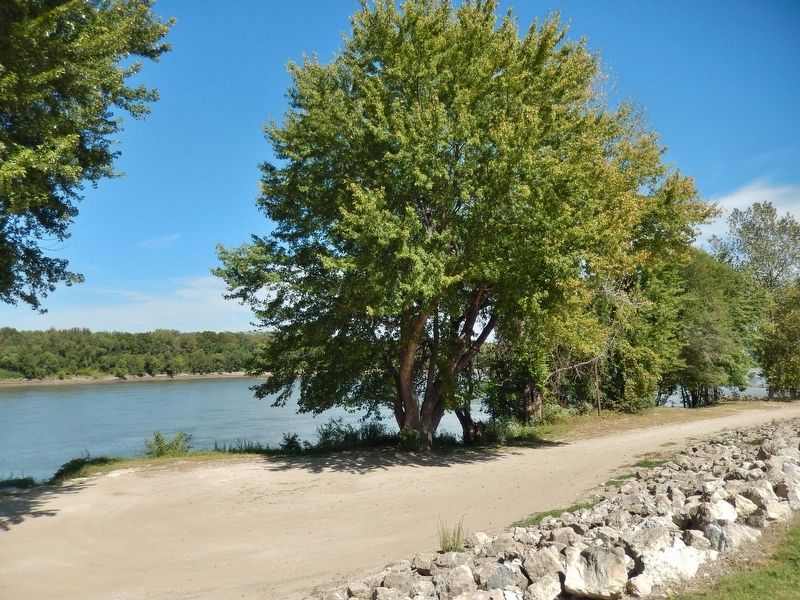 New Haven Flood Control Levee (<i>view from near marker</i>). Click for full size. New Haven Flood Control Levee (<i>view from near marker</i>) image. Click for full size.